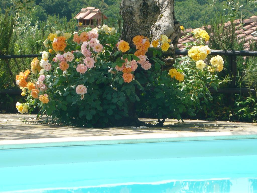 Podere Oliveta Poggibonsi Bagian luar foto